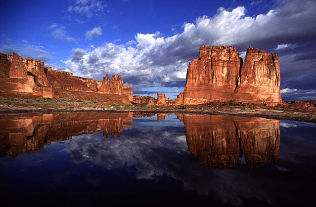 [A nice picture to brigthen up your day]