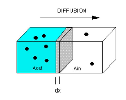 Diffusivity Picture