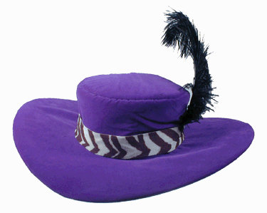 http://www.owlnet.rice.edu/~elec201/History/PimpBot_01/purple_pimp_hat.gif