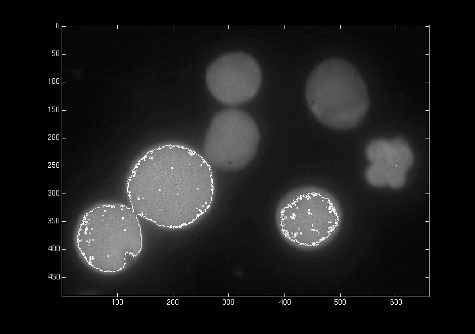 HIGH_THRESHOLD_CELLS_1B