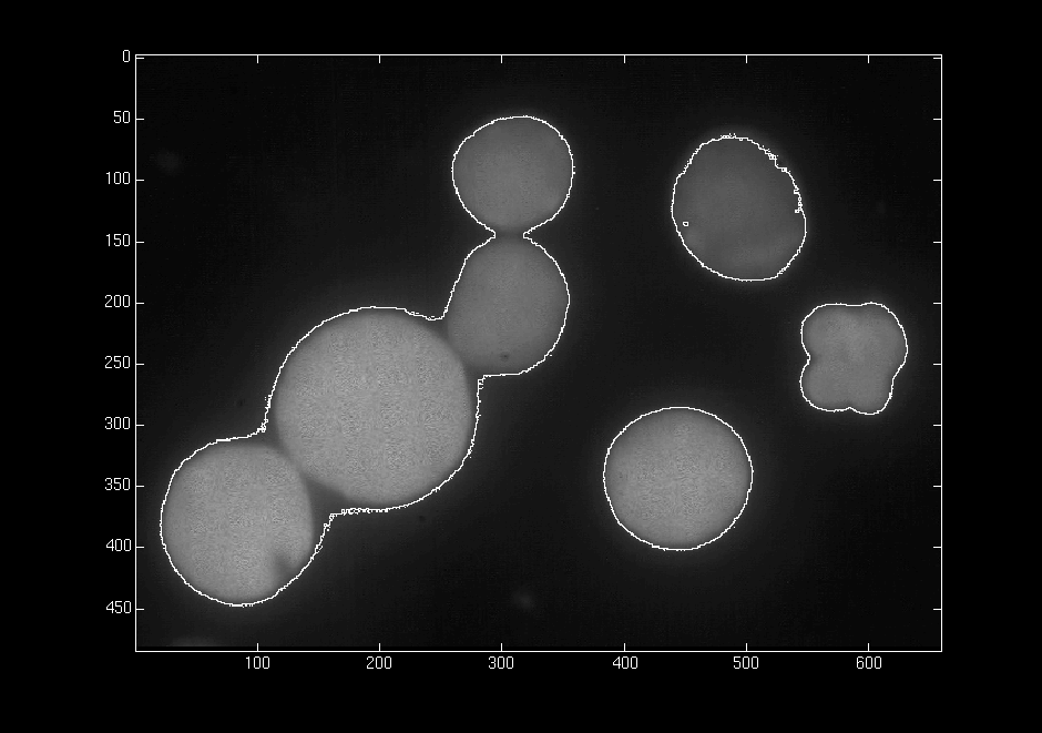 LOW_THRESHOLD_CELLS_1B