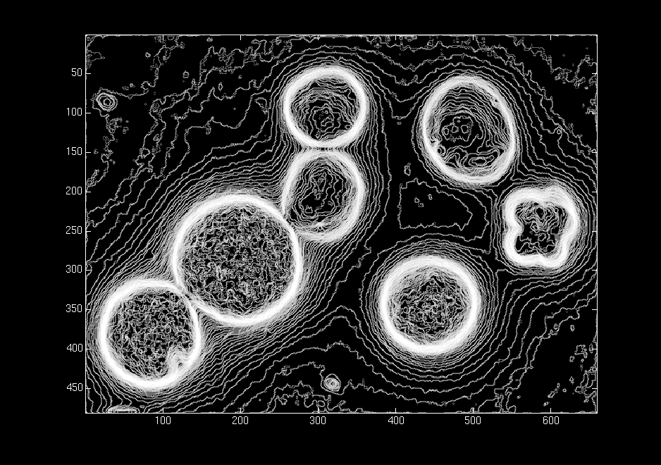 GRAD_CELLS_1B